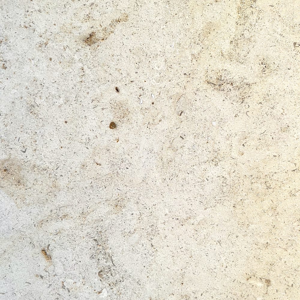Chamesson Coquille French Limestone
